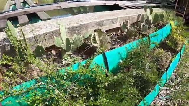 Семейная рыбалка на горном водоеме в Лоо