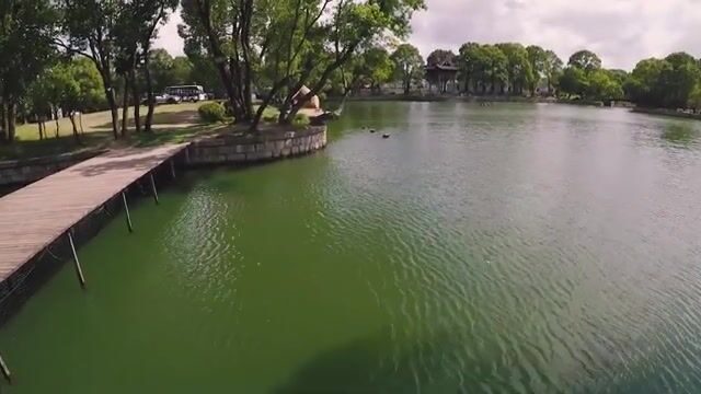 Большеротый басс в парке Шанхая