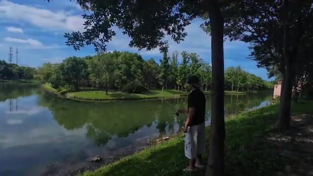 В Шанхае мы с друзьями сменили место, и одному из нас попалась улитка