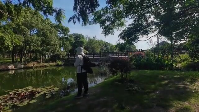 В Шанхае мы с друзьями сменили место, и одному из нас попалась улитка