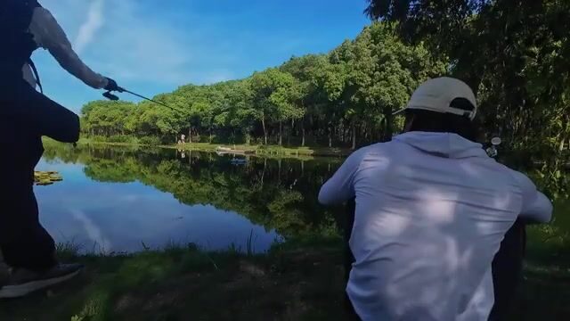 В Шанхае мы с друзьями сменили место, и одному из нас попалась улитка
