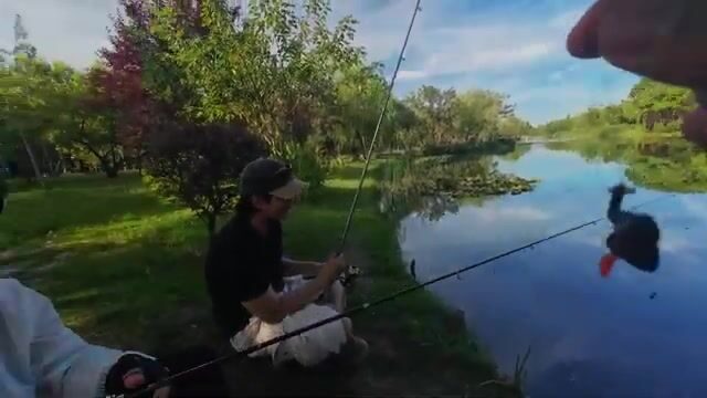 В Шанхае мы с друзьями сменили место, и одному из нас попалась улитка