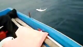 Рыбацкий разговор у островов Уч-Адалары в Текирове