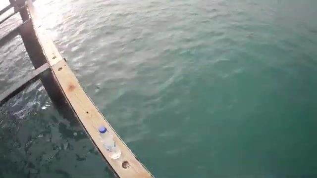 Морская ловля с берега в Конаклы