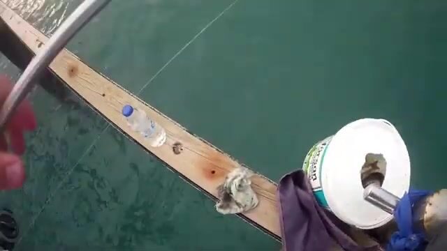 Морская ловля с берега в Конаклы