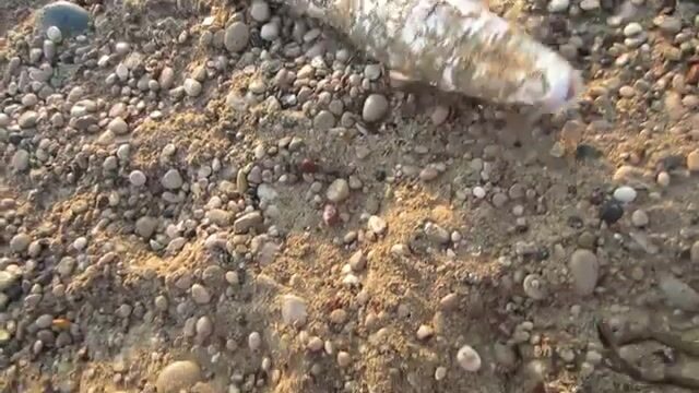 Морская программа для гостей Текировы с выходом из марины Кемера