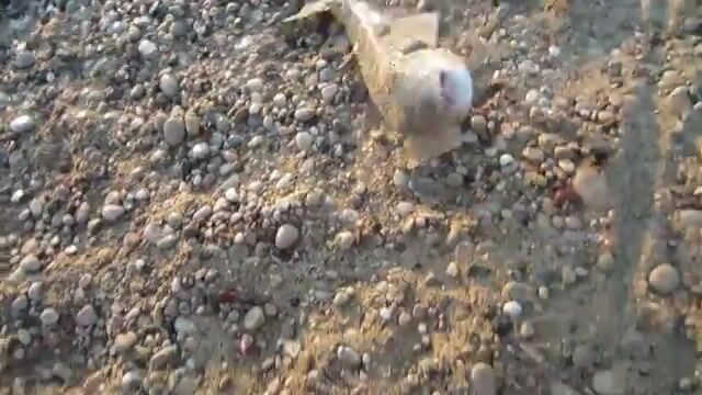 Морская программа для гостей Текировы с выходом из марины Кемера