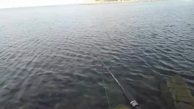 Морская рыбалка в Джубге на зеленушку и ерша