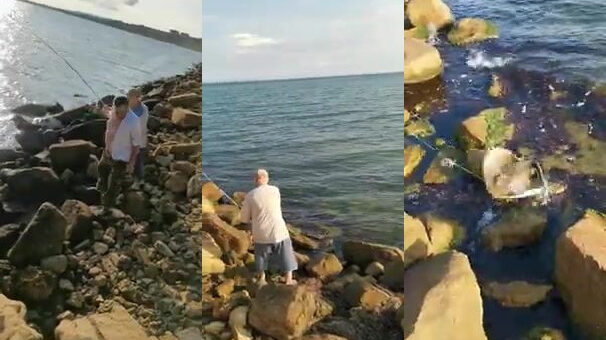 Рыбалка на Тамани между заливом и морским побережьем