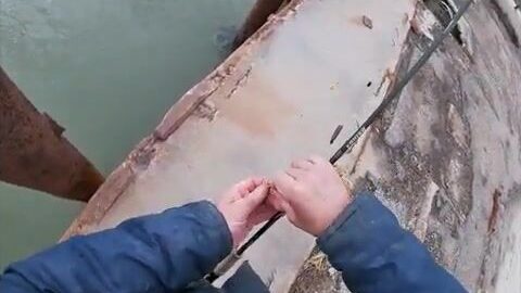 Восемь крупных бычков на вареную креветку у причала Гаркуши