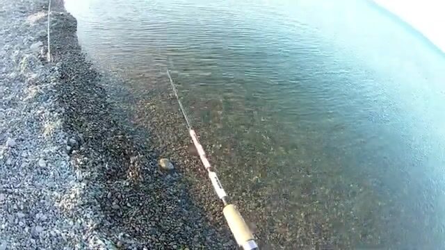 Первое утро на море в Сукко со спиннингом и кукурузой