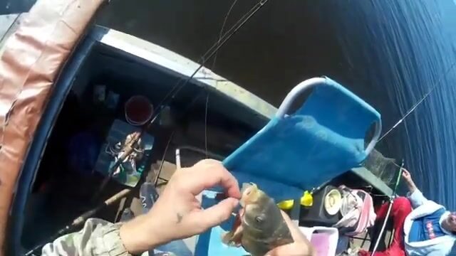 Удочки и шашлык на Темрюкских лиманах