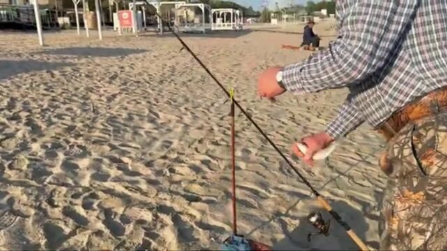 Утренний обход берега в Черноморском 2 сентября: соседи достают первую рыбу