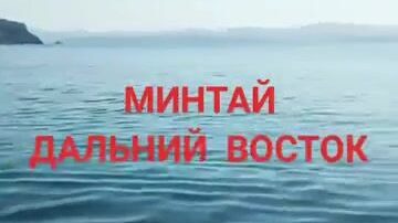 Ловим минтая на голые крючки у Ливадии вдвоем