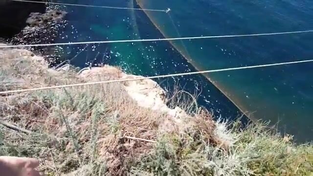 Наблюдение за выборкой сети у Оленевки