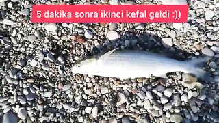 Кефаль на Коньяалты в Анталье порадовала друзей