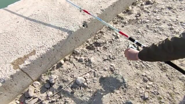 Золотистый угорь попался на речке у Коньяалты
