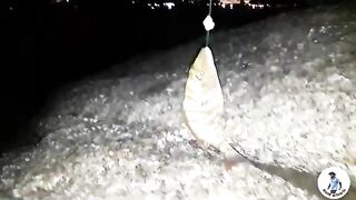Вечерняя береговая рыбалка с кальмаром у Най-Харна на Пхукете