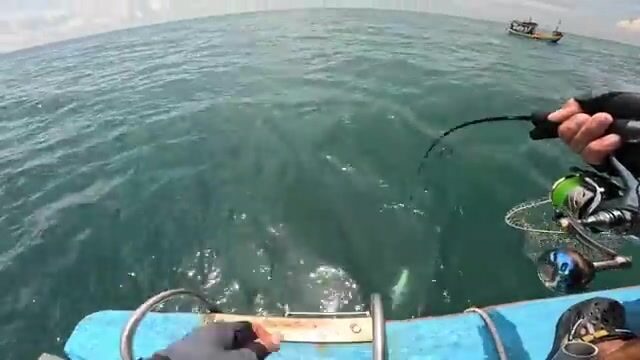 Поимка морской рыбы на джиг рыбной расцветки у берегов Вунгтау
