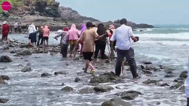 Утренняя сортировка ночного улова в Вунгтау