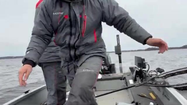 Весенний пелагический судак в Финляндии
