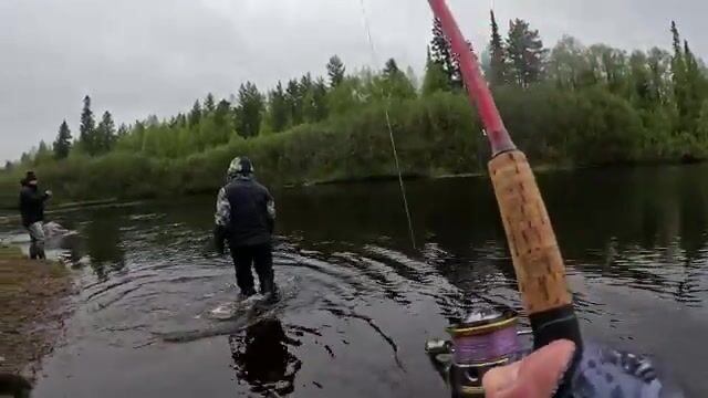 Обрыв на Мегре и первая щука