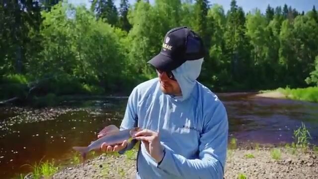 Первый хариус на таежной реке в Архангельской области