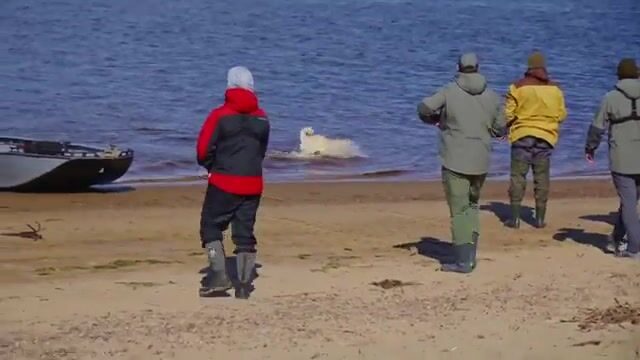 Первый хариус на таежной реке в Архангельской области