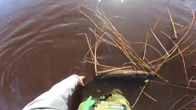 Осенняя щука с берега в Финляндии