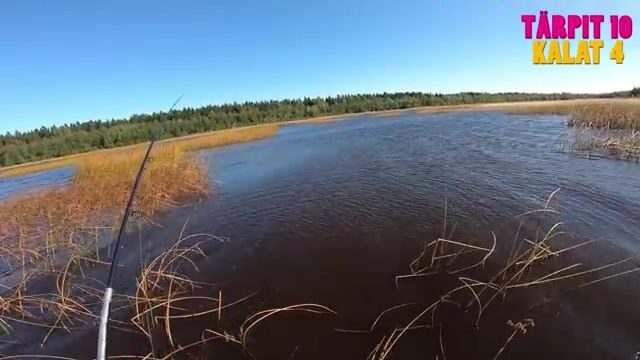 Осенняя щука с берега в Финляндии