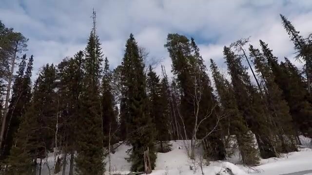 Апрельский выезд за хариусом в Архангельской области