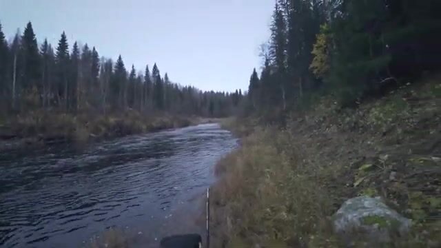 Вечерняя плотва на Ижмозере после поломки удочки