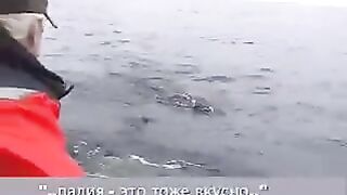 Онежское озеро и лабиринт Кижских шхер в Заонежье