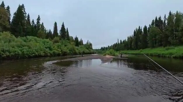 Водометная экспедиция по таежной реке Архангельской области