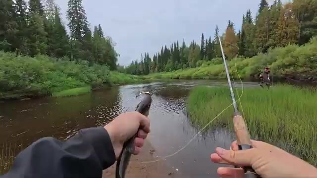 Водометная экспедиция по таежной реке Архангельской области