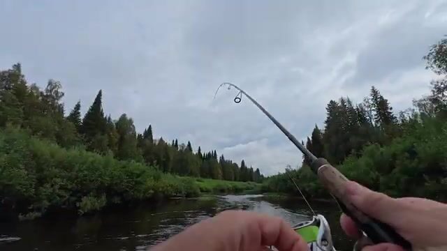 Водометная экспедиция по таежной реке Архангельской области