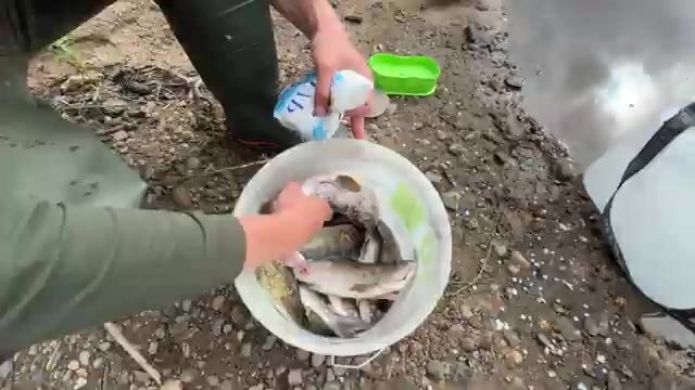 Водометная экспедиция по таежной реке Архангельской области