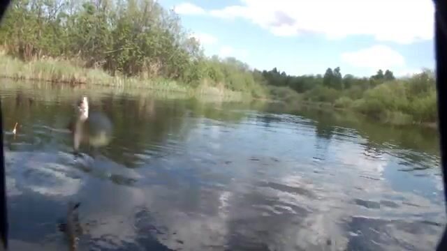 Короткая рыбалка в Северодвинске