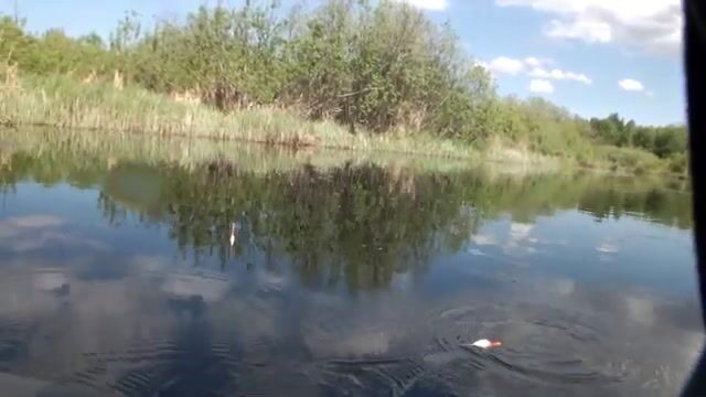 Короткая рыбалка в Северодвинске