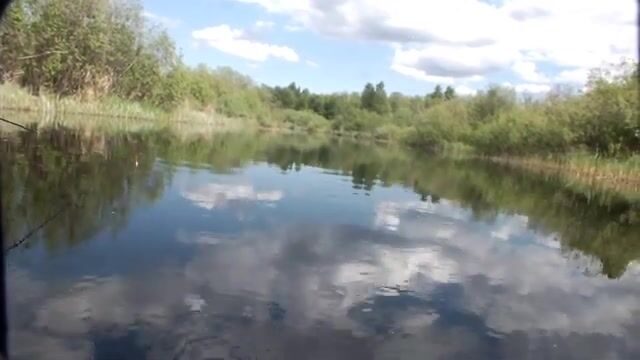 Короткая рыбалка в Северодвинске