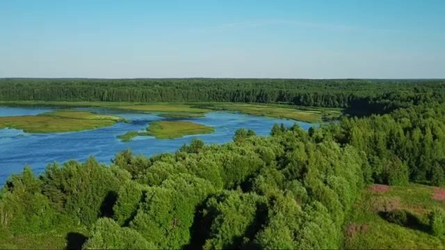 Язь вместо щуки клевал с лодки на реке Онеге