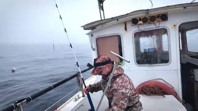 Туманное утро в Ура-Губе и вываживание трески Антоном