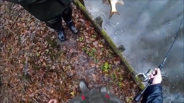 Декабрьский переезд с озера на канал под Калининградом