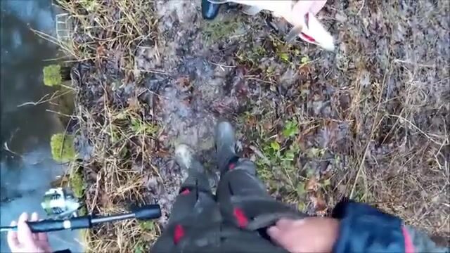 Декабрьский переезд с озера на канал под Калининградом