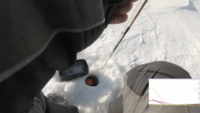 Ловля сига на голую блесну без подсадки в Карелии