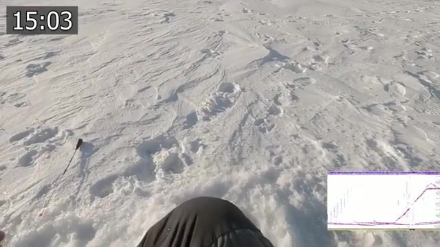 Ловля сига на голую блесну без подсадки в Карелии
