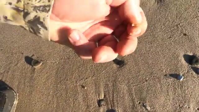 Первый сарган на креветку в Балтийском море Калининградской области