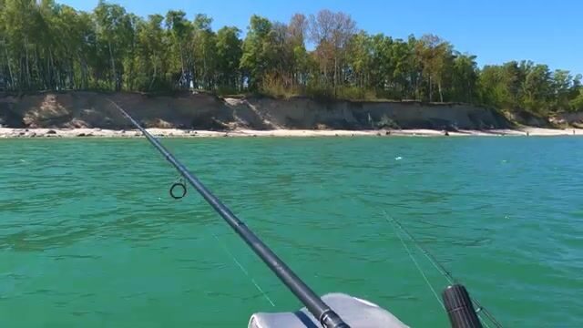 Первый сарган на креветку в Балтийском море Калининградской области