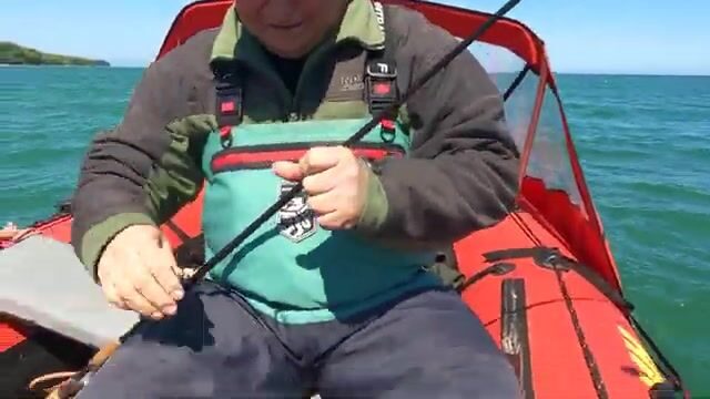 Первый сарган на креветку в Балтийском море Калининградской области
