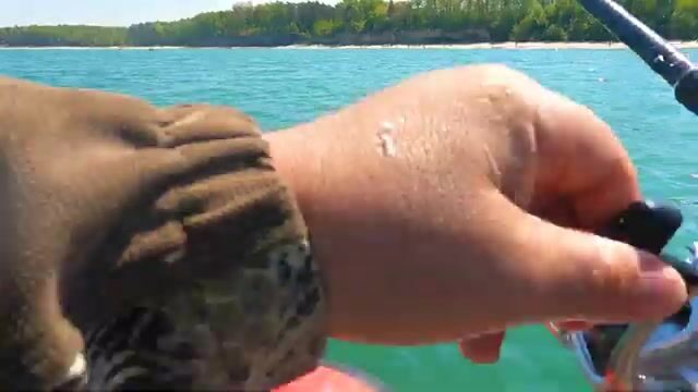 Первый сарган на креветку в Балтийском море Калининградской области